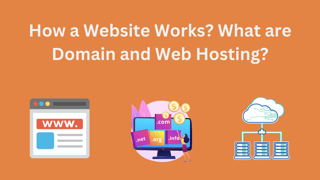 How a Website Works and What are Domain and Web Hosting