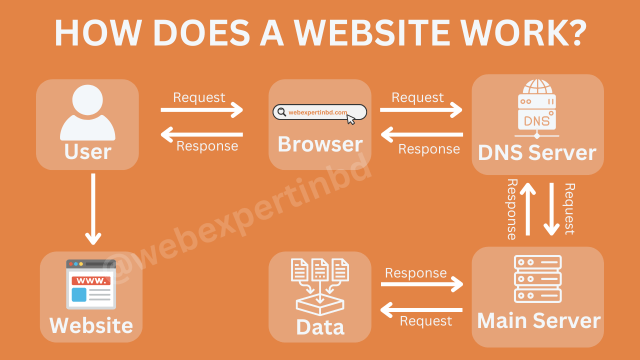 How does a website work - Complete Guide